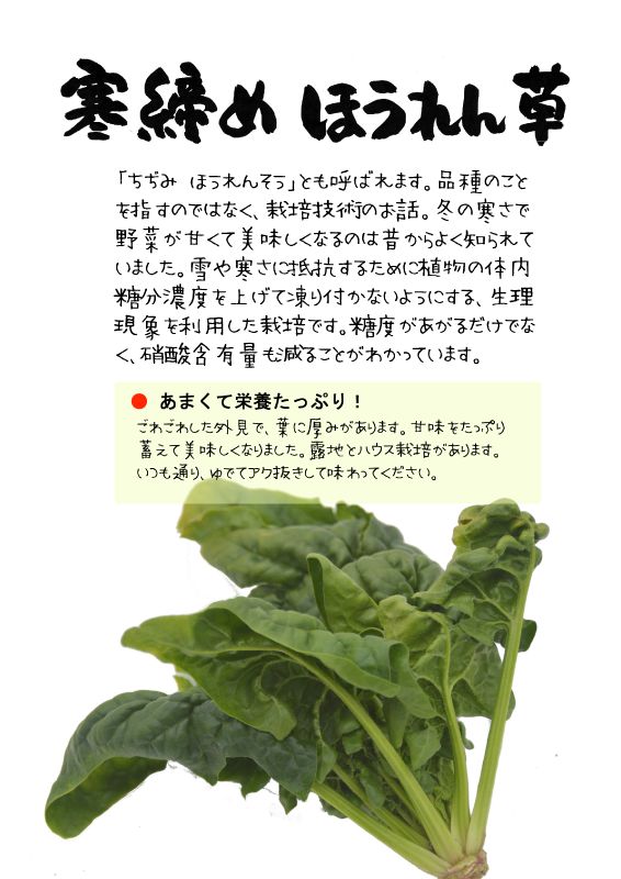 寒締めほうれん草　TX｜心にチクっとささるワードで作る「ちくわPOP（ちくわぽっぷ）」｜農産物直売所やスーパーの青果売り場の活性化に！農に特化したPOPが無料!!