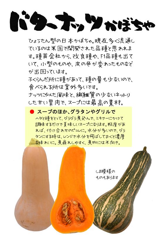 バターナッツかぼちゃ　TX｜心にチクっとささるワードで作る「ちくわPOP（ちくわぽっぷ）」｜農産物直売所やスーパーの青果売り場の活性化に！農に特化したPOPが無料!!