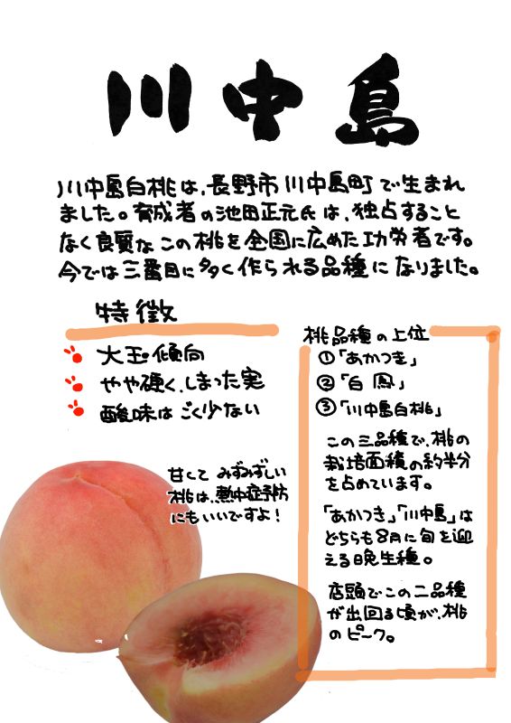 川中島白桃｜心にチクっとささるワードで作る「ちくわPOP（ちくわぽっぷ）」｜農産物直売所やスーパーの青果売り場の活性化に！農に特化したPOPが無料!!