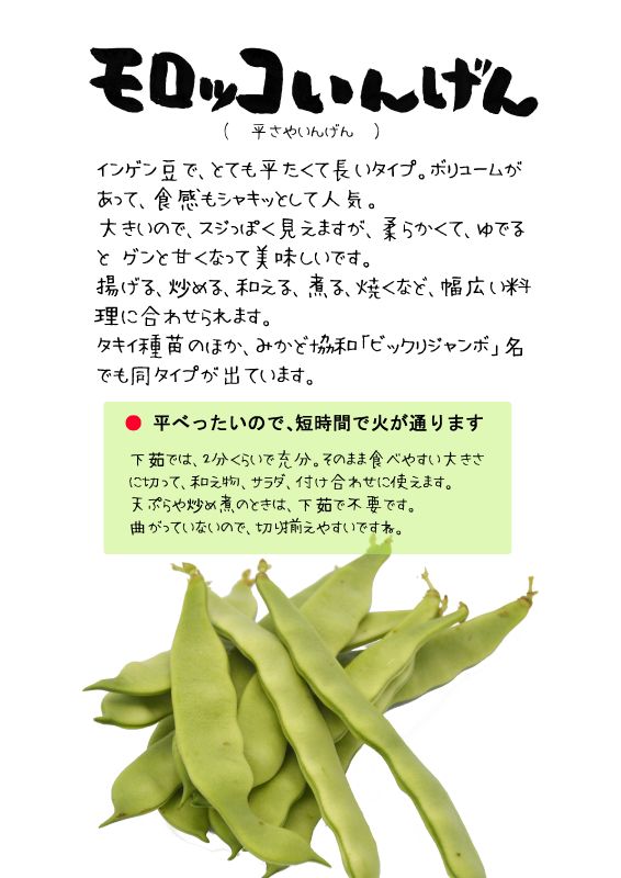 モロッコいんげん　TX｜心にチクっとささるワードで作る「ちくわPOP（ちくわぽっぷ）」｜農産物直売所やスーパーの青果売り場の活性化に！農に特化したPOPが無料!!