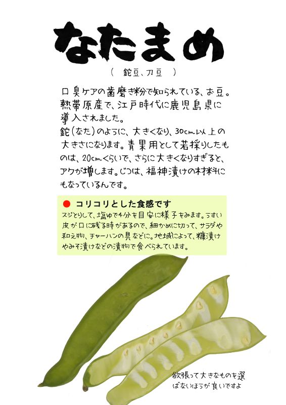 なたまめ　TX｜心にチクっとささるワードで作る「ちくわPOP（ちくわぽっぷ）」｜農産物直売所やスーパーの青果売り場の活性化に！農に特化したPOPが無料!!