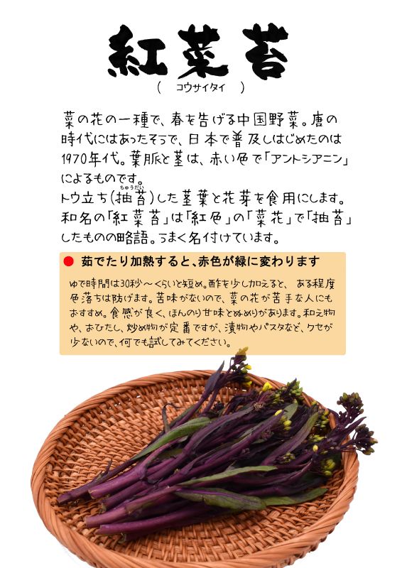 コ紅菜苔　コウサイタイ｜心にチクっとささるワードで作る「ちくわPOP（ちくわぽっぷ）」｜農産物直売所やスーパーの青果売り場の活性化に！農に特化したPOPが無料!!