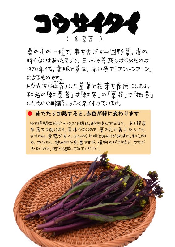 コウサイタイ紅菜苔　TX｜心にチクっとささるワードで作る「ちくわPOP（ちくわぽっぷ）」｜農産物直売所やスーパーの青果売り場の活性化に！農に特化したPOPが無料!!