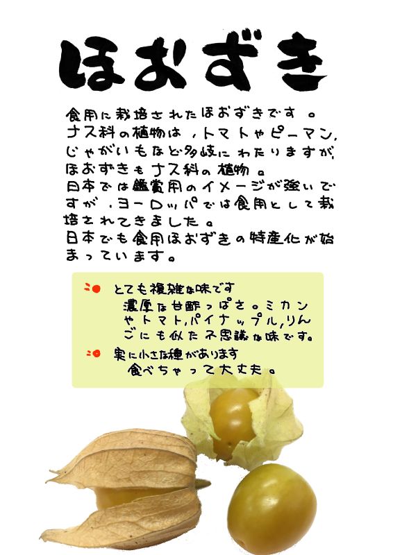 食用ほおずき｜心にチクっとささるワードで作る「ちくわPOP（ちくわぽっぷ）」｜農産物直売所やスーパーの青果売り場の活性化に！農に特化したPOPが無料!!