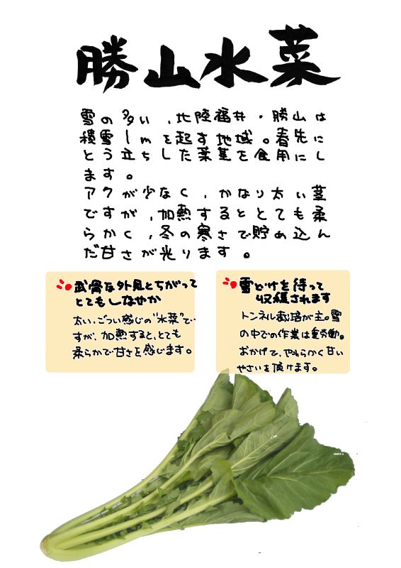 勝山水菜　福井県｜心にチクっとささるワードで作る「ちくわPOP（ちくわぽっぷ）」｜農産物直売所やスーパーの青果売り場の活性化に！農に特化したPOPが無料!!