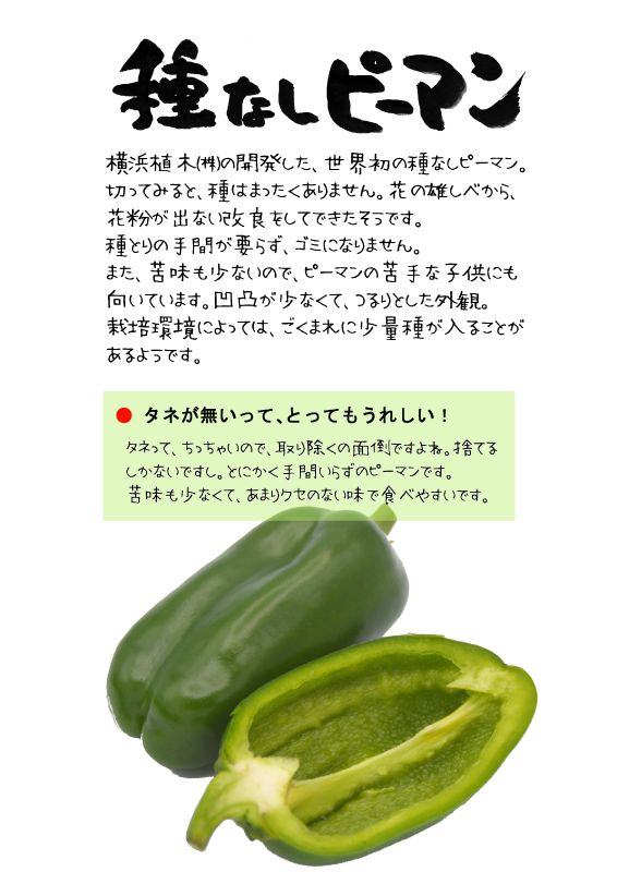 種なしピーマン 　タネなっぴー　TX｜心にチクっとささるワードで作る「ちくわPOP（ちくわぽっぷ）」｜農産物直売所やスーパーの青果売り場の活性化に！農に特化したPOPが無料!!