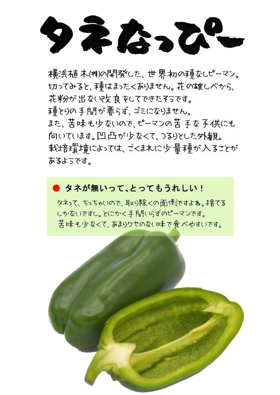 タネなっぴー　種なしピーマン　TX｜心にチクっとささるワードで作る「ちくわPOP（ちくわぽっぷ）」｜農産物直売所やスーパーの青果売り場の活性化に！農に特化したPOPが無料!!