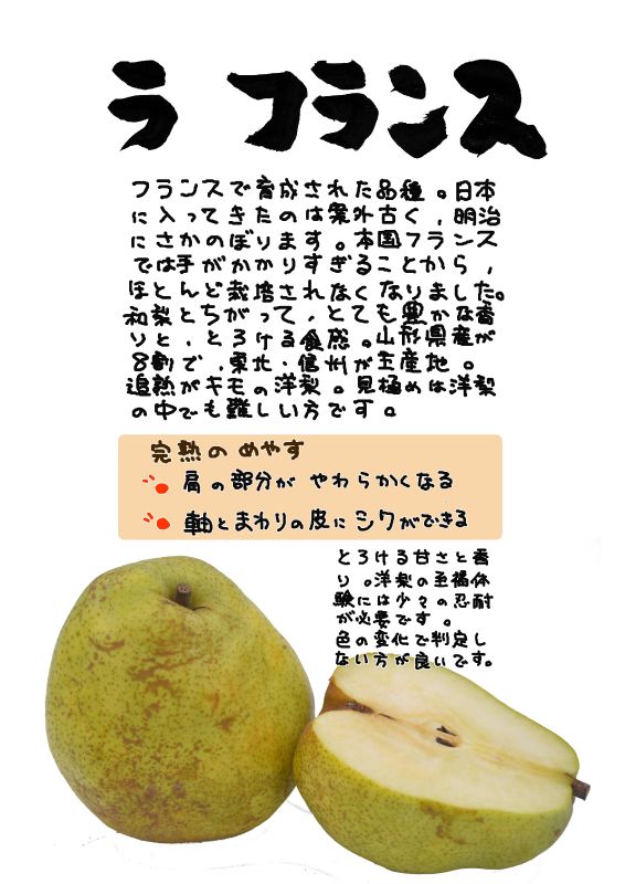 ラ　フランス　洋梨La France｜心にチクっとささるワードで作る「ちくわPOP（ちくわぽっぷ）」｜農産物直売所やスーパーの青果売り場の活性化に！農に特化したPOPが無料!!