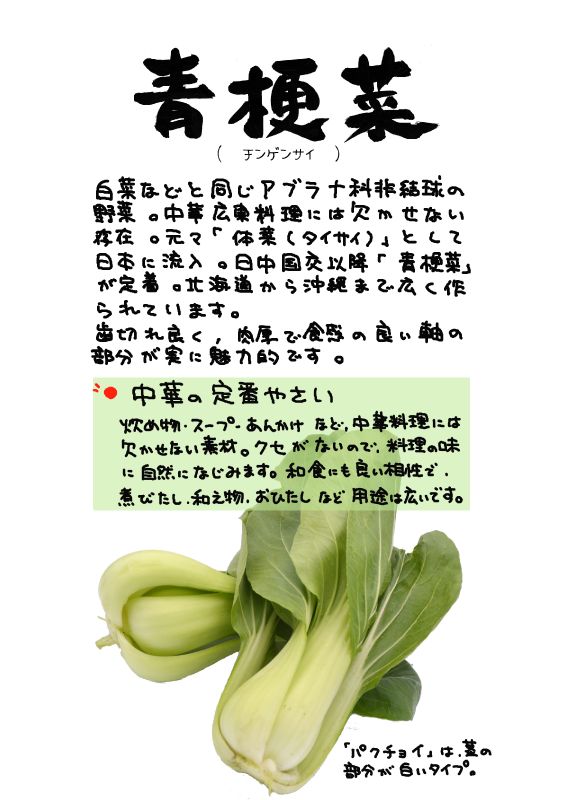 青梗菜｜心にチクっとささるワードで作る「ちくわPOP（ちくわぽっぷ）」｜農産物直売所やスーパーの青果売り場の活性化に！農に特化したPOPが無料!!
