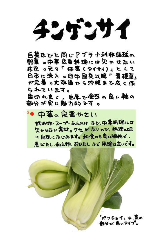 チンゲンサイ　｜心にチクっとささるワードで作る「ちくわPOP（ちくわぽっぷ）」｜農産物直売所やスーパーの青果売り場の活性化に！農に特化したPOPが無料!!