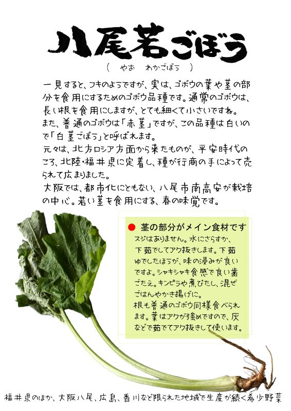 八尾若ごぼう　TX｜心にチクっとささるワードで作る「ちくわPOP（ちくわぽっぷ）」｜農産物直売所やスーパーの青果売り場の活性化に！農に特化したPOPが無料!!