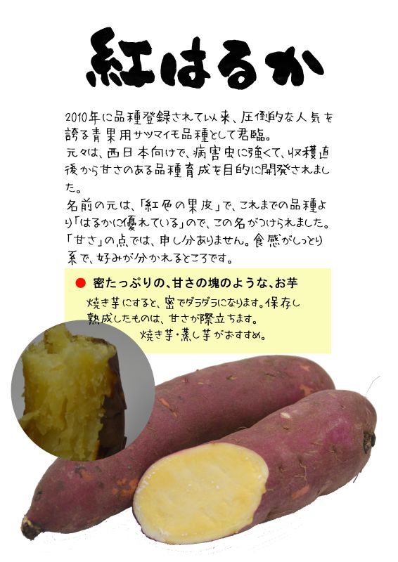 紅はるか　べにはるか　TX｜心にチクっとささるワードで作る「ちくわPOP（ちくわぽっぷ）」｜農産物直売所やスーパーの青果売り場の活性化に！農に特化したPOPが無料!!