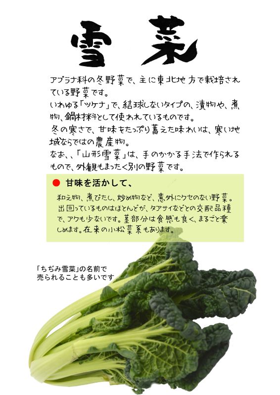 雪菜　仙台雪菜　ちぢみ雪菜　yukina TX｜心にチクっとささるワードで作る「ちくわPOP（ちくわぽっぷ）」｜農産物直売所やスーパーの青果売り場の活性化に！農に特化したPOPが無料!!