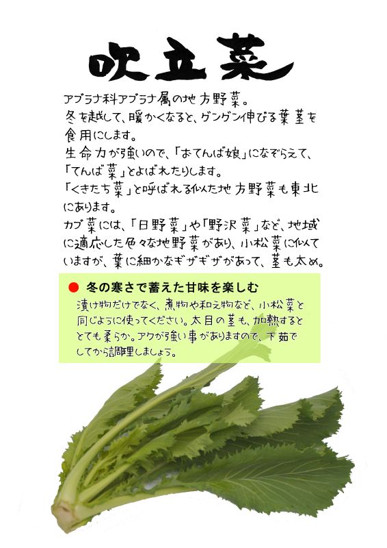 吹立菜　ふきたちな　TX｜心にチクっとささるワードで作る「ちくわPOP（ちくわぽっぷ）」｜農産物直売所やスーパーの青果売り場の活性化に！農に特化したPOPが無料!!