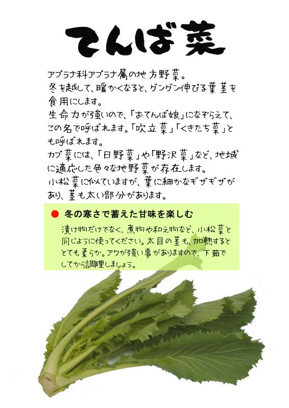 てんば菜　　吹立菜　くきたち菜　TX｜心にチクっとささるワードで作る「ちくわPOP（ちくわぽっぷ）」｜農産物直売所やスーパーの青果売り場の活性化に！農に特化したPOPが無料!!