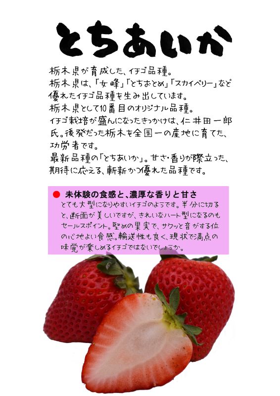 とちあいか　栃木i37号　いちご　TX｜心にチクっとささるワードで作る「ちくわPOP（ちくわぽっぷ）」｜農産物直売所やスーパーの青果売り場の活性化に！農に特化したPOPが無料!!