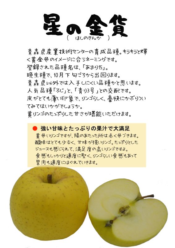 星の金貨　あおり15　黄りんごTX｜心にチクっとささるワードで作る「ちくわPOP（ちくわぽっぷ）」｜農産物直売所やスーパーの青果売り場の活性化に！農に特化したPOPが無料!!