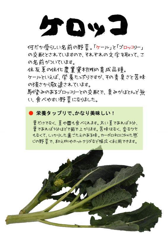 ケロッコ　kerokko　ケールブロッコリー　TX｜心にチクっとささるワードで作る「ちくわPOP（ちくわぽっぷ）」｜農産物直売所やスーパーの青果売り場の活性化に！農に特化したPOPが無料!!