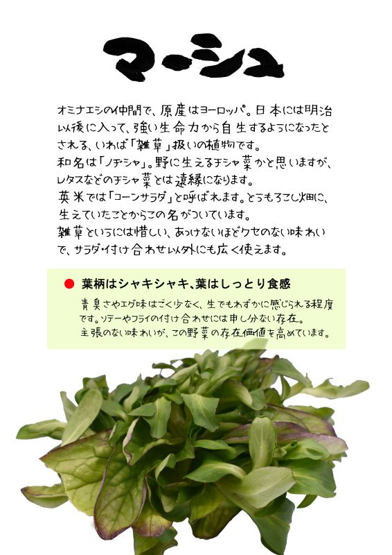 マーシュ　ノヂシャ　コーンサラダ　TX｜心にチクっとささるワードで作る「ちくわPOP（ちくわぽっぷ）」｜農産物直売所やスーパーの青果売り場の活性化に！農に特化したPOPが無料!!