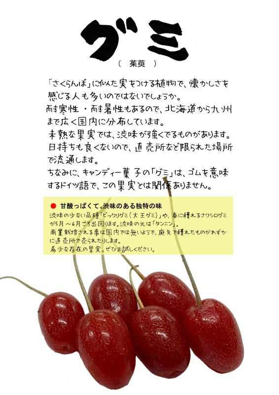 グミ　茱萸　｜心にチクっとささるワードで作る「ちくわPOP（ちくわぽっぷ）」｜農産物直売所やスーパーの青果売り場の活性化に！農に特化したPOPが無料!!