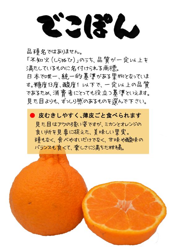 でこぽん　デコポン　TX｜心にチクっとささるワードで作る「ちくわPOP（ちくわぽっぷ）」｜農産物直売所やスーパーの青果売り場の活性化に！農に特化したPOPが無料!!