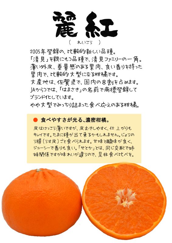 麗紅　れいこう　TX｜心にチクっとささるワードで作る「ちくわPOP（ちくわぽっぷ）」｜農産物直売所やスーパーの青果売り場の活性化に！農に特化したPOPが無料!!