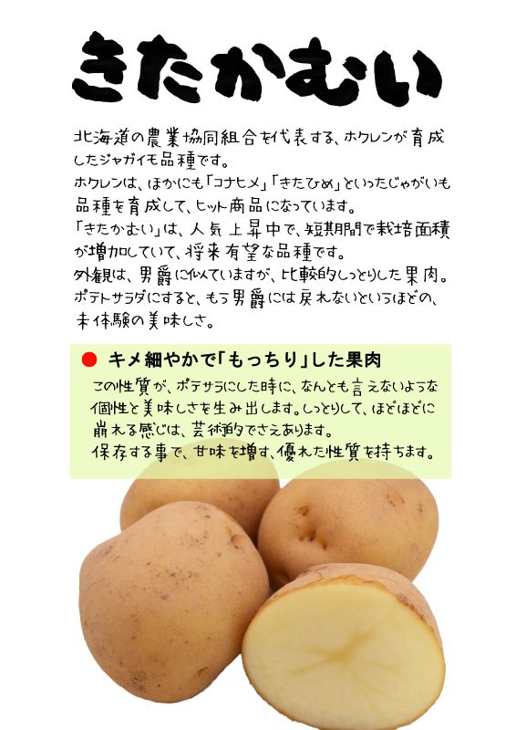 きたかむい　キタカムイ　ジャガイモ　TX｜心にチクっとささるワードで作る「ちくわPOP（ちくわぽっぷ）」｜農産物直売所やスーパーの青果売り場の活性化に！農に特化したPOPが無料!!