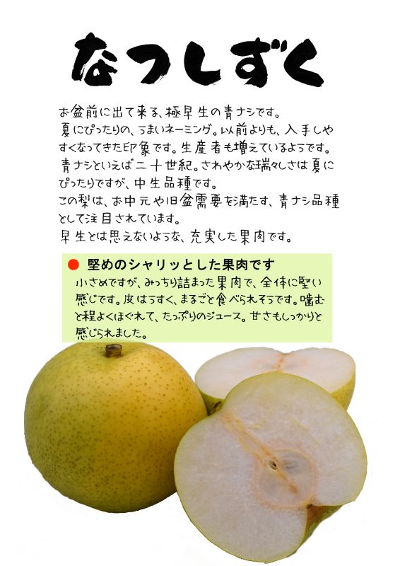 なつしずく　青梨　TX｜心にチクっとささるワードで作る「ちくわPOP（ちくわぽっぷ）」｜農産物直売所やスーパーの青果売り場の活性化に！農に特化したPOPが無料!!