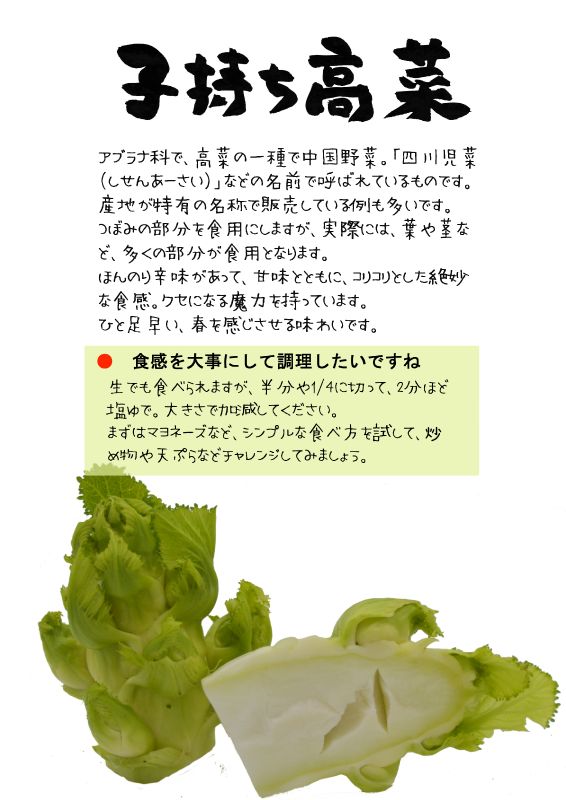 子持ち高菜　四川児菜　TX｜心にチクっとささるワードで作る「ちくわPOP（ちくわぽっぷ）」｜農産物直売所やスーパーの青果売り場の活性化に！農に特化したPOPが無料!!