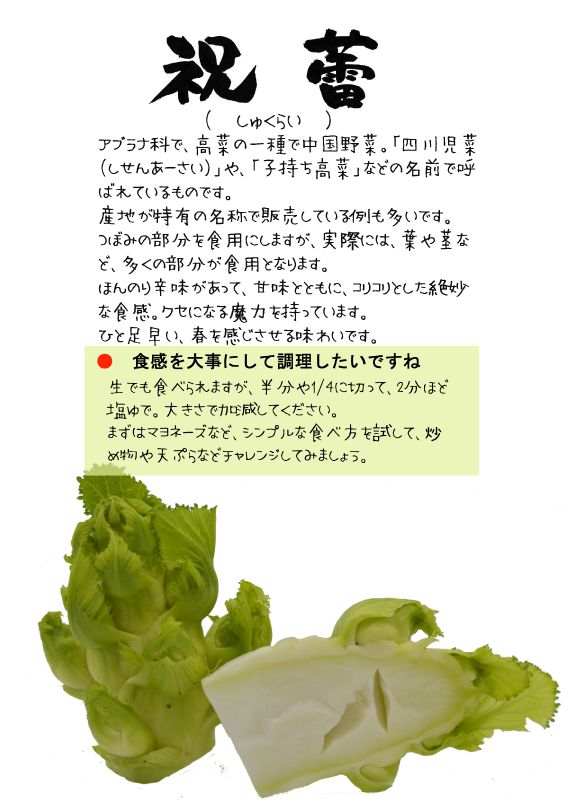 祝蕾　四川児菜　TX｜心にチクっとささるワードで作る「ちくわPOP（ちくわぽっぷ）」｜農産物直売所やスーパーの青果売り場の活性化に！農に特化したPOPが無料!!