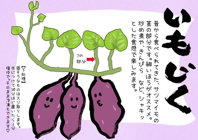 いもじく　サツマイモの茎　TX｜心にチクっとささるワードで作る「ちくわPOP（ちくわぽっぷ）」｜農産物直売所やスーパーの青果売り場の活性化に！農に特化したPOPが無料!!