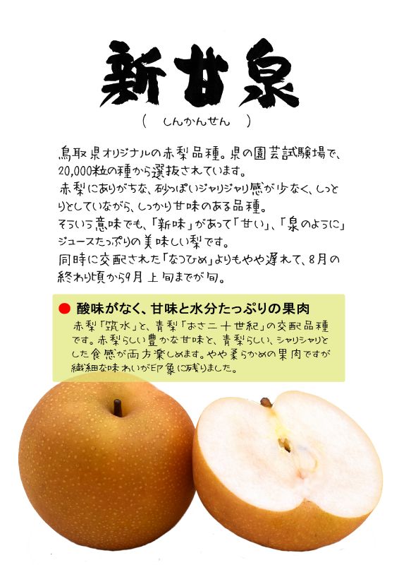 新甘泉　しんかんせん　赤梨TX｜心にチクっとささるワードで作る「ちくわPOP（ちくわぽっぷ）」｜農産物直売所やスーパーの青果売り場の活性化に！農に特化したPOPが無料!!