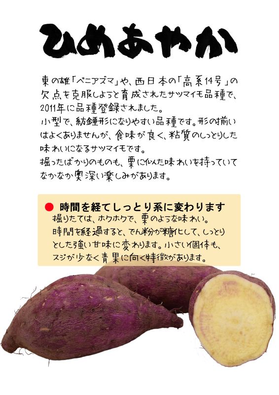 ひめあやか　姫あやか　さつまいも　TX｜心にチクっとささるワードで作る「ちくわPOP（ちくわぽっぷ）」｜農産物直売所やスーパーの青果売り場の活性化に！農に特化したPOPが無料!!