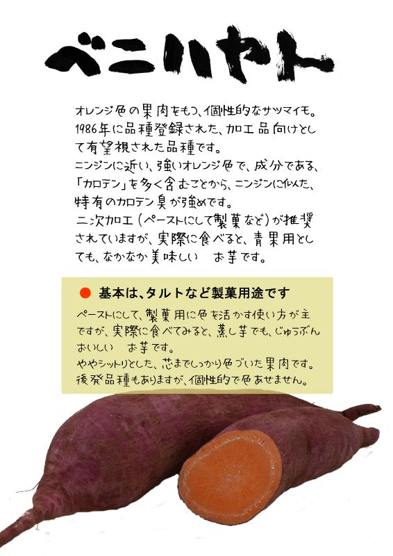 ベニハヤト　さつまいも　TX｜心にチクっとささるワードで作る「ちくわPOP（ちくわぽっぷ）」｜農産物直売所やスーパーの青果売り場の活性化に！農に特化したPOPが無料!!