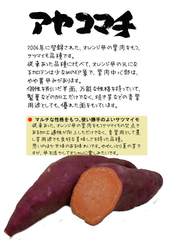 アヤコマチ　あやこまち　サツマイモ　TX｜心にチクっとささるワードで作る「ちくわPOP（ちくわぽっぷ）」｜農産物直売所やスーパーの青果売り場の活性化に！農に特化したPOPが無料!!