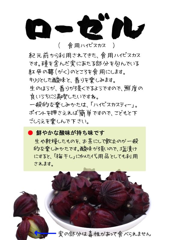 ローゼル　食用ハイビスカス　ロゼリソウ　TX｜心にチクっとささるワードで作る「ちくわPOP（ちくわぽっぷ）」｜農産物直売所やスーパーの青果売り場の活性化に！農に特化したPOPが無料!!