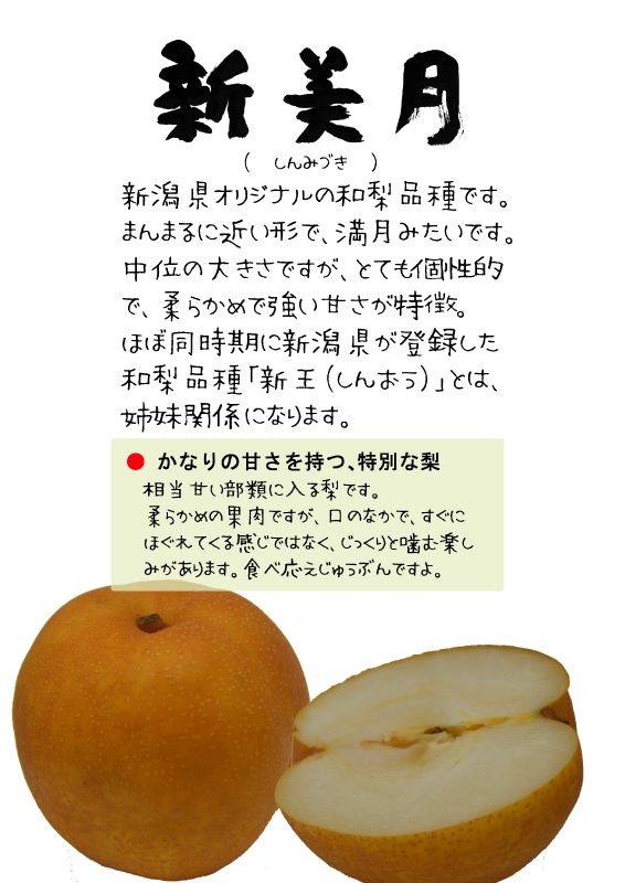 新美月　しんみづき　新潟県　TX｜心にチクっとささるワードで作る「ちくわPOP（ちくわぽっぷ）」｜農産物直売所やスーパーの青果売り場の活性化に！農に特化したPOPが無料!!