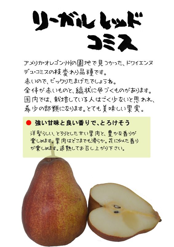 リーガル　レッド　コミス　赤洋梨　TX｜心にチクっとささるワードで作る「ちくわPOP（ちくわぽっぷ）」｜農産物直売所やスーパーの青果売り場の活性化に！農に特化したPOPが無料!!
