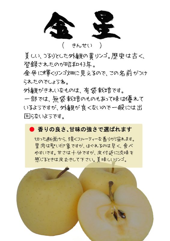 金星　きんせい　黄りんごTX｜心にチクっとささるワードで作る「ちくわPOP（ちくわぽっぷ）」｜農産物直売所やスーパーの青果売り場の活性化に！農に特化したPOPが無料!!