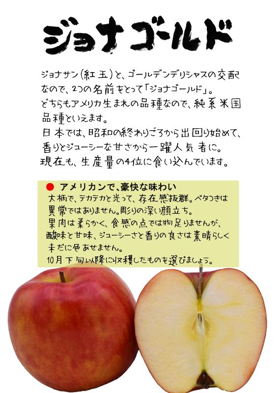 ジョナゴールド　サンジョナ　赤リンゴ　TX｜心にチクっとささるワードで作る「ちくわPOP（ちくわぽっぷ）」｜農産物直売所やスーパーの青果売り場の活性化に！農に特化したPOPが無料!!