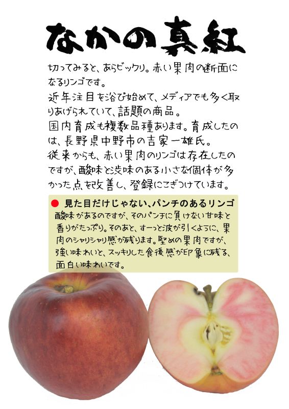 なかの真紅　ナカノシンク　赤りんご　TX｜心にチクっとささるワードで作る「ちくわPOP（ちくわぽっぷ）」｜農産物直売所やスーパーの青果売り場の活性化に！農に特化したPOPが無料!!