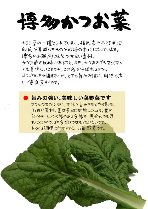 博多かつお菜　勝男菜　TX｜心にチクっとささるワードで作る「ちくわPOP（ちくわぽっぷ）」｜農産物直売所やスーパーの青果売り場の活性化に！農に特化したPOPが無料!!