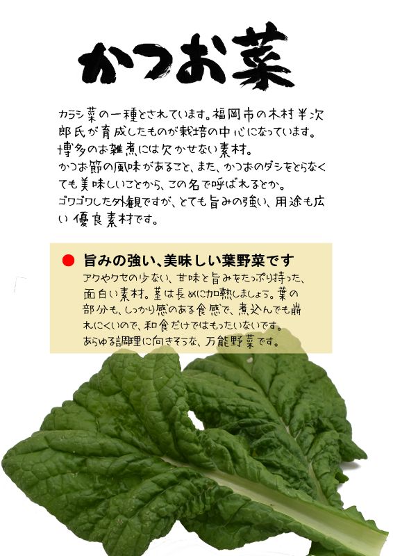 かつお菜　かつを菜｜心にチクっとささるワードで作る「ちくわPOP（ちくわぽっぷ）」｜農産物直売所やスーパーの青果売り場の活性化に！農に特化したPOPが無料!!