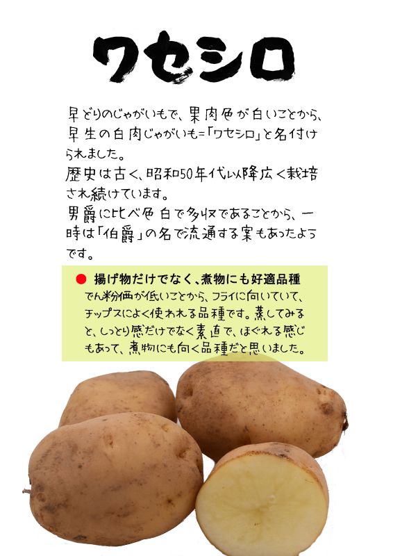 ワセシロ　わせしろ　じゃがいも　TX｜心にチクっとささるワードで作る「ちくわPOP（ちくわぽっぷ）」｜農産物直売所やスーパーの青果売り場の活性化に！農に特化したPOPが無料!!