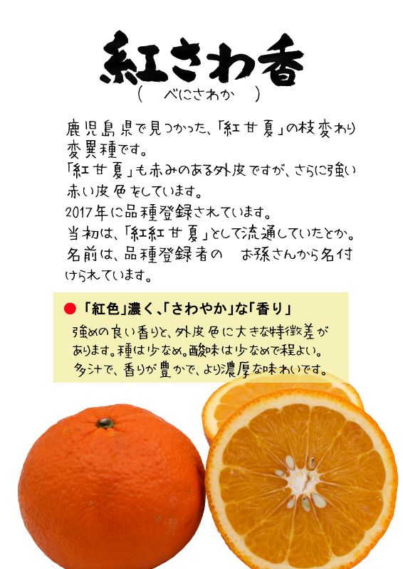 紅さわ香　　紅紅甘夏　　べにさわかTX｜心にチクっとささるワードで作る「ちくわPOP（ちくわぽっぷ）」｜農産物直売所やスーパーの青果売り場の活性化に！農に特化したPOPが無料!!