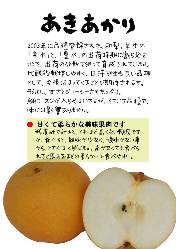 あきあかり　秋あかり　和梨　202510TX｜心にチクっとささるワードで作る「ちくわPOP（ちくわぽっぷ）」｜農産物直売所やスーパーの青果売り場の活性化に！農に特化したPOPが無料!!