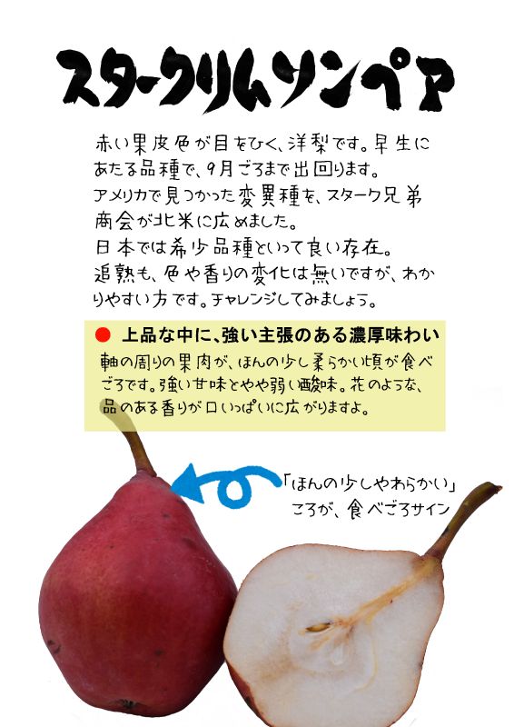 スタークリムソンペア　赤洋梨　TX｜心にチクっとささるワードで作る「ちくわPOP（ちくわぽっぷ）」｜農産物直売所やスーパーの青果売り場の活性化に！農に特化したPOPが無料!!