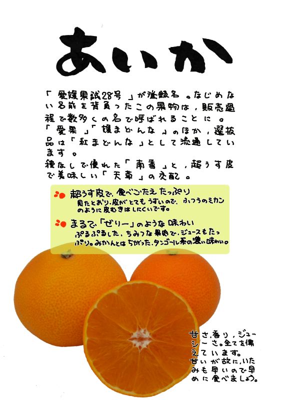 あいか　愛果　愛媛果試28号｜心にチクっとささるワードで作る「ちくわPOP（ちくわぽっぷ）」｜農産物直売所やスーパーの青果売り場の活性化に！農に特化したPOPが無料!!