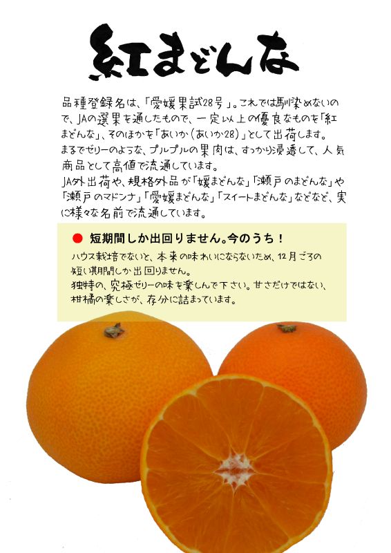 紅まどんな　愛媛果試28号　TX｜心にチクっとささるワードで作る「ちくわPOP（ちくわぽっぷ）」｜農産物直売所やスーパーの青果売り場の活性化に！農に特化したPOPが無料!!