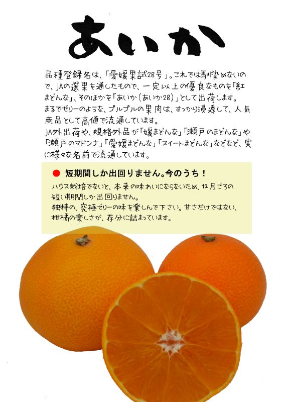 あいか　愛媛果試28号　TX｜心にチクっとささるワードで作る「ちくわPOP（ちくわぽっぷ）」｜農産物直売所やスーパーの青果売り場の活性化に！農に特化したPOPが無料!!